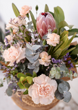 Pink protea