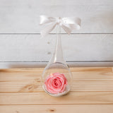 Everlasting Roses