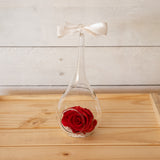Everlasting Roses